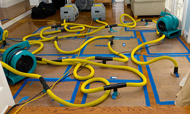 Professional Sewage Cleanup technician working in Wilton, NH